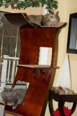 2008-12_XmasCard_119