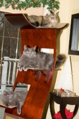 2008-12_XmasCard_125