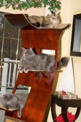 2008-12_XmasCard_126