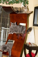 2008-12_XmasCard_127