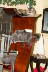 2008-12_XmasCard_129