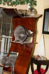 2008-12_XmasCard_130