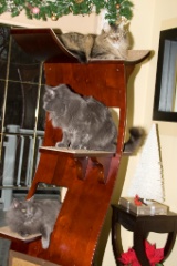 2008-12_XmasCard_137