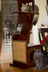 2008-12_XmasCard_145