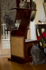 2008-12_XmasCard_146