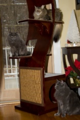 2008-12_XmasCard_150