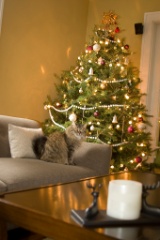 2008-12_XmasCard_206