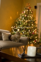 2008-12_XmasCard_209