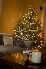 2008-12_XmasCard_216