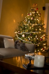 2008-12_XmasCard_220