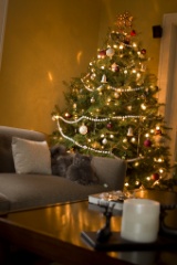 2008-12_XmasCard_221