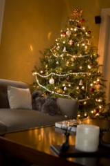 2008-12_XmasCard_222