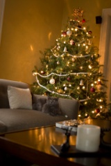 2008-12_XmasCard_226