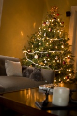 2008-12_XmasCard_239