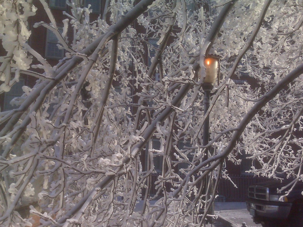 IMG00111