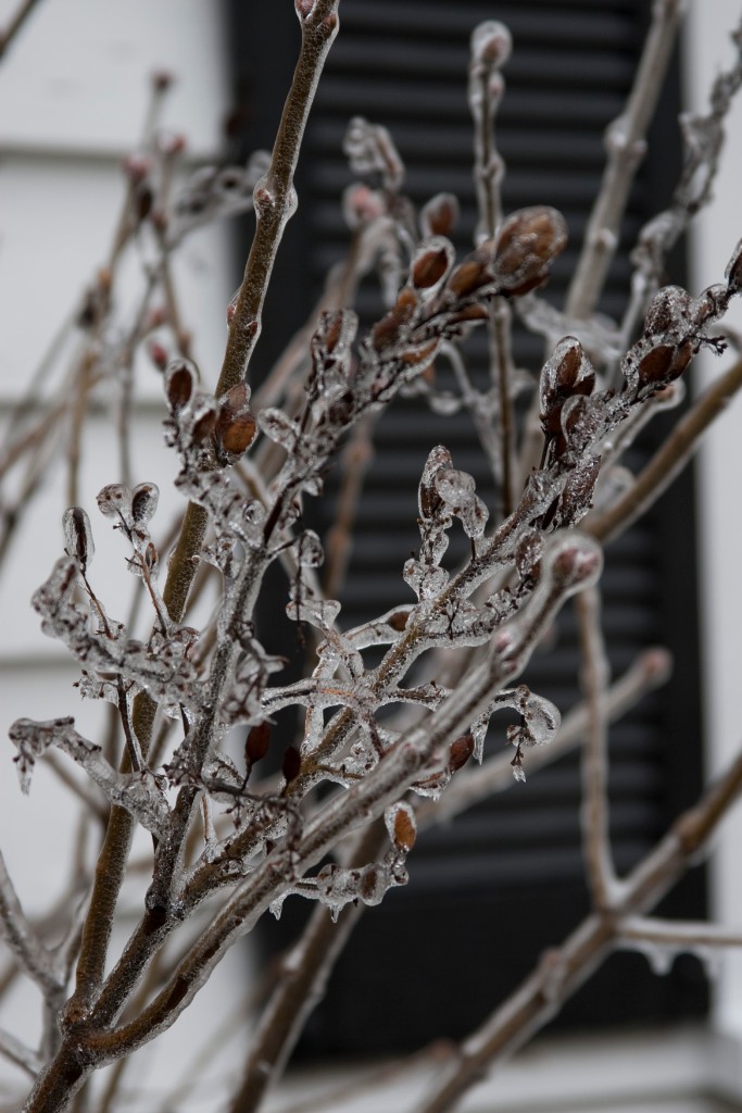 2008-12_IceStorm_017