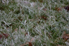 2008-12_IceStorm_010