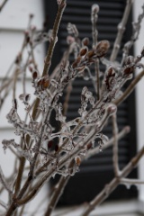 2008-12_IceStorm_017