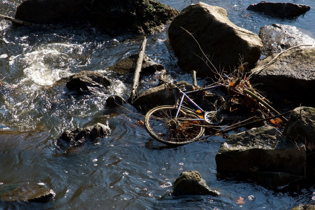 2008-11_Walk_013