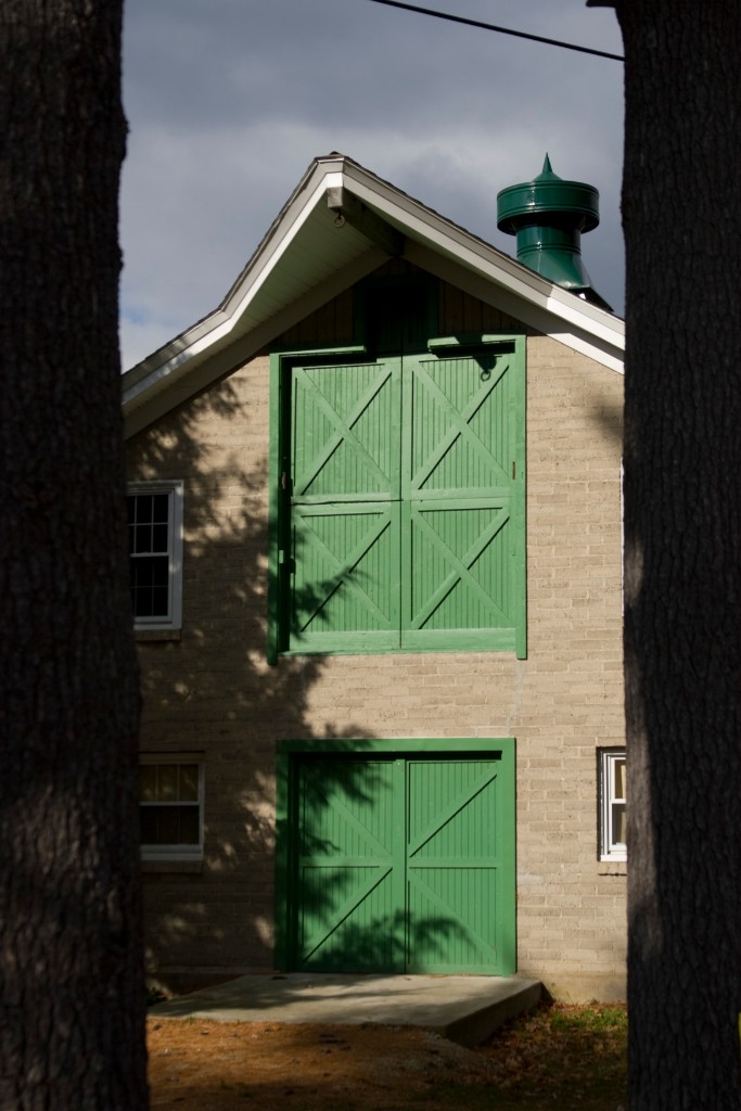 2008-11_Walk_038