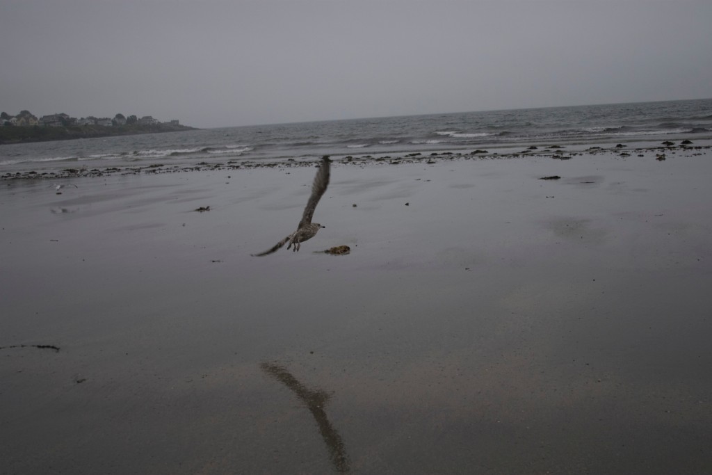 2008-09_YorkMaine_087