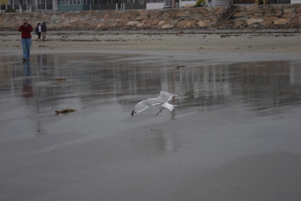 2008-09_YorkMaine_111