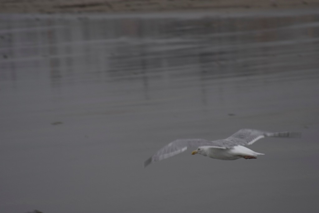 2008-09_YorkMaine_117