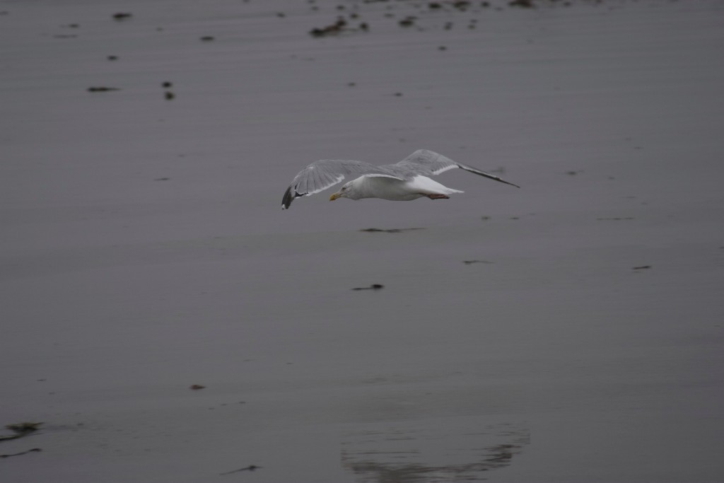 2008-09_YorkMaine_121