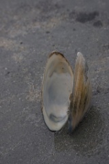 2008-09_YorkMaine_075