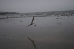 2008-09_YorkMaine_087