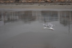 2008-09_YorkMaine_108
