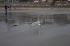 2008-09_YorkMaine_111