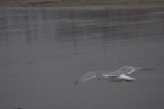2008-09_YorkMaine_117