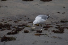 2008-09_YorkMaine_125