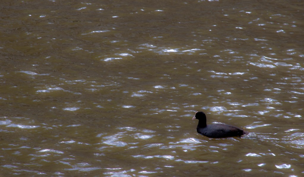 2009-06_Amsterdam_034