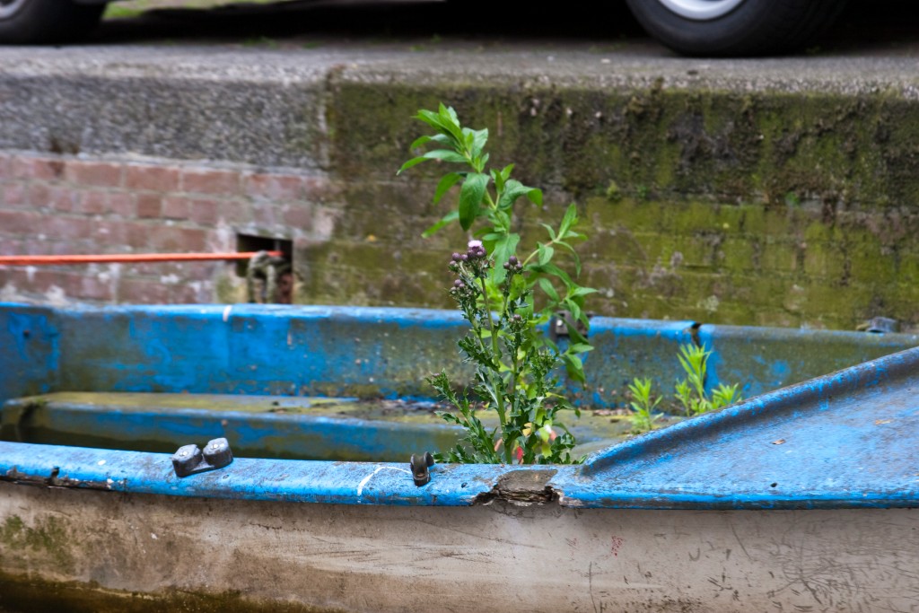 2009-06_Amsterdam_203