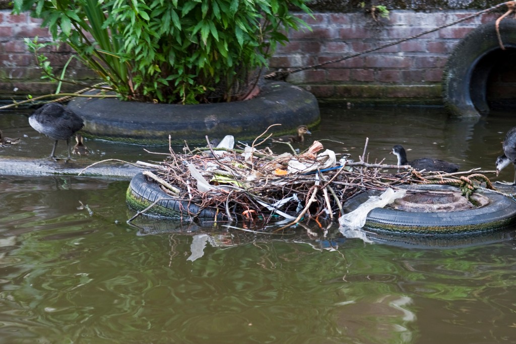2009-06_Amsterdam_244