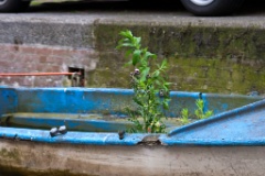 2009-06_Amsterdam_203
