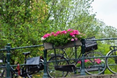 2009-06_Amsterdam_230