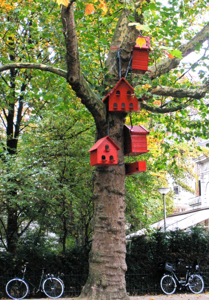 2009-10_ElenaAmsterdam_008