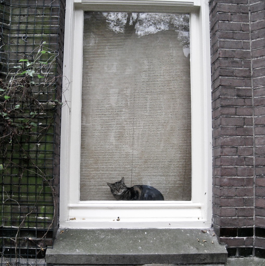 2009-11_ElenaAmsterdam_097