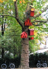 2009-10_ElenaAmsterdam_008