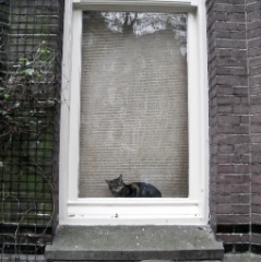 2009-11_ElenaAmsterdam_097