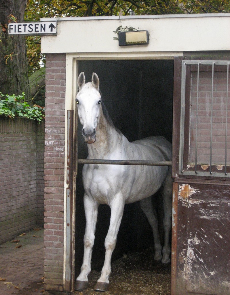 2009-10_TaraAmsterdam_018