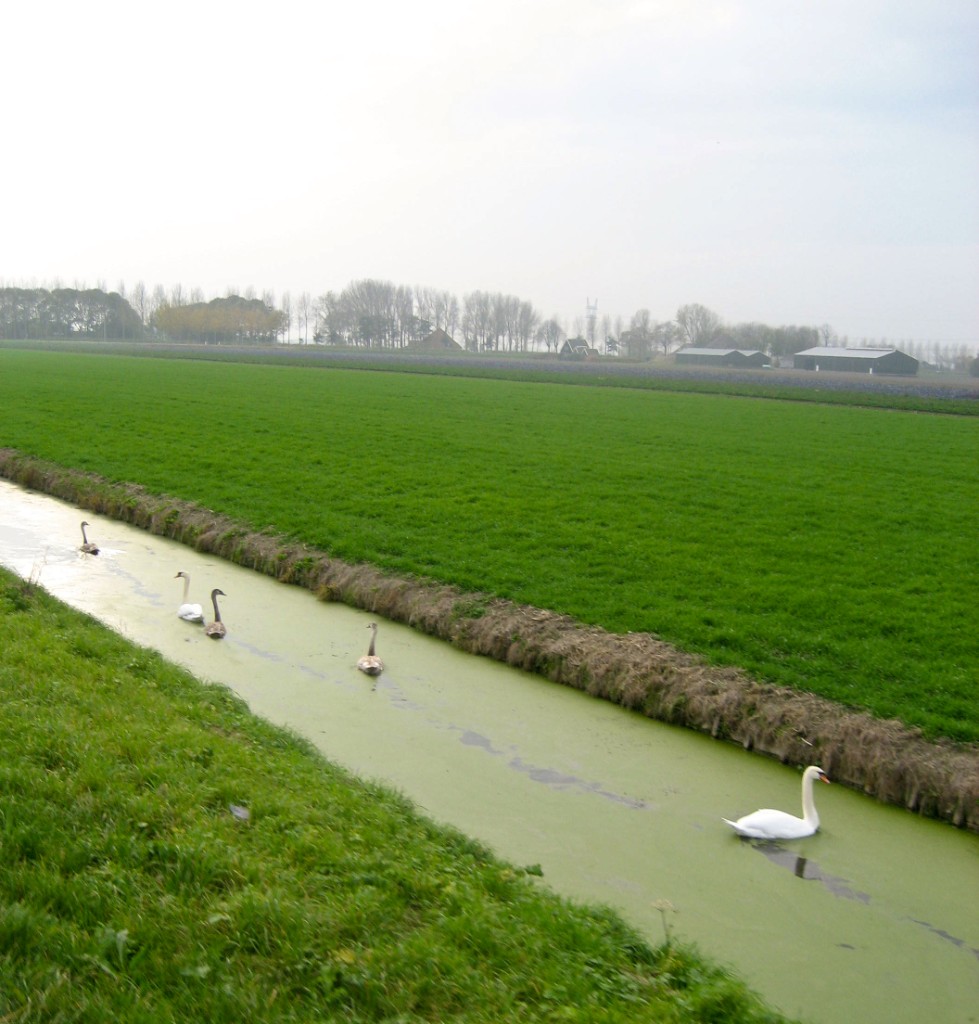 2009-10_TaraAmsterdam_105