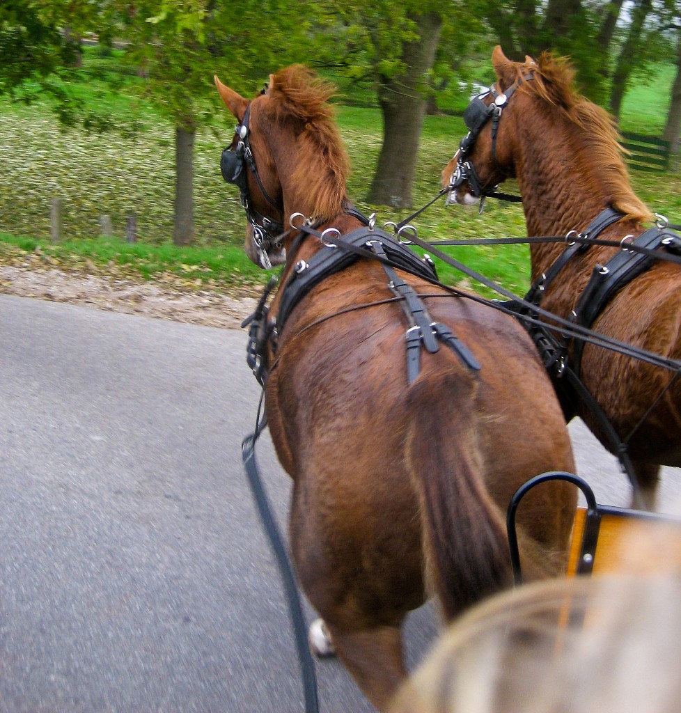 2009-10_TaraAmsterdam_145