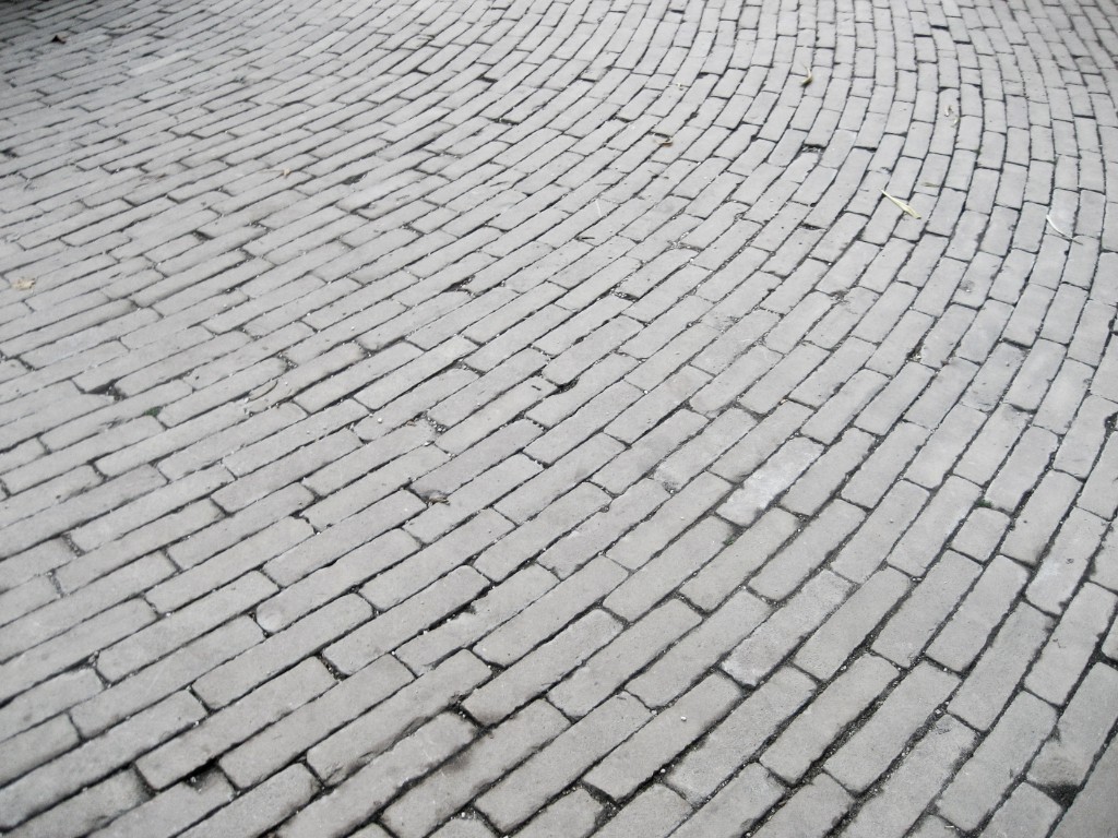 2009-11_TaraAmsterdam_281