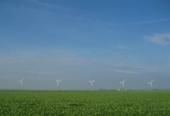 2009-10_TaraAmsterdam_082