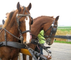2009-10_TaraAmsterdam_133