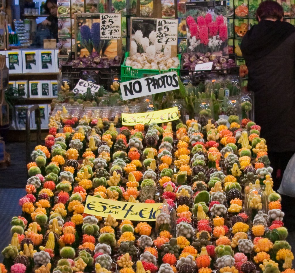 2009-10_Amsterdam_237